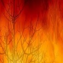 Legislação sobre Defesa da Floresta contra Incêndios